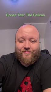Goose Talk: The Pelican #pelican #goosegooseduck #hewwo #twitch #streamer  #tiktok
