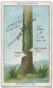 10 Lifehacks From 100 Years Ago Life Hacks Useful Life Hacks Tree Felling