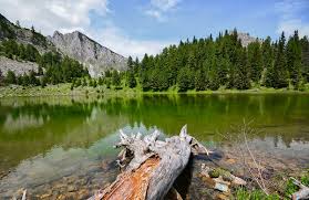 Bjeshkët e Nemuna Nationalpark - Wikipedia, den frie encyklopædi