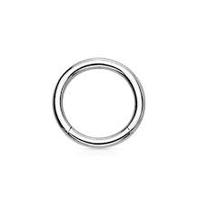 Segment rings typically come in a round hoop shape (but, as with all things, there are some super cute exceptions ), and can be used in a number of. Forbidden Body Surgical Steel Hinged Nose Ring Hoop 14g 16g 18g Silver Gold Rose Gold Rainbow Black Sold Individually Forbidden Body Jewelry