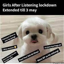 Find over 100+ of the best free lockdown images. Lockdown Funny Pictures For Whatsapp Ohyaaro Com