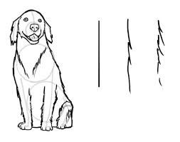 What do dogs use their noses for? How To Draw A Dog Step By Step Wacom