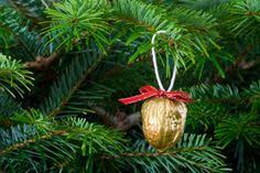 20 Walnut Christmas Decorations Ideas Christmas Decorations Walnut Christmas