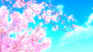 Anime aesthetic anime scenery sakura trees cherry blossoms pastel pink pastel aesthetic. Anime Blossom Wallpapers Top Free Anime Blossom Backgrounds Wallpaperaccess