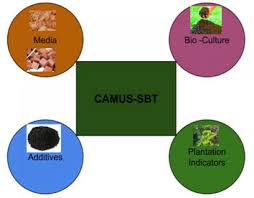 Making your buildings / facilities smarter. Sbt And Camus Sbt Technology Ontinuous Advanced Multiscale System Using Soil Bio Technology