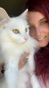 Ziva says, "You call this snow?"