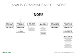 L'analisi grammaticale del nome - scuola Primaria | Redooc | Lezioni di grammatica, Regole ortografiche, Istruzione elementare