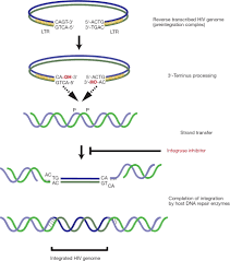 Image result for Integrase Strand Transfer Inhibitor