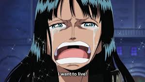 Never Watched One Piece