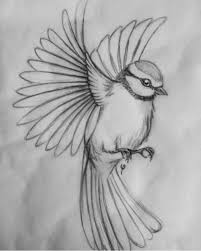 Learn To Draw Animals Drawing On Demand Bird Drawings Fly Drawing Animal Sketches Collection by intira wongunmaneekul • last updated 2 weeks ago. learn to draw animals drawing on