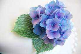 Edible Hydrangea Wafer Paper Flowers Cake Toppers Biscuit And Cupcake Decorations Wafer Paper Flowers Paper Flowers Wafer Paper