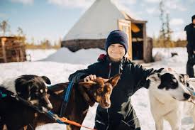 Milwaukee men's large black no days off hooded sweatshirt (155) $ 55 00 $ 69.00. Portrait Of Smiling Teenage Girl Stroking Husky Dog During Winter Stockphoto