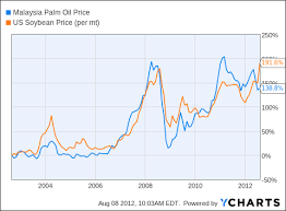 palm oil plantations and palm oil prices in long term