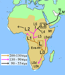 Most of the information that we have. History Of West Africa Wikipedia