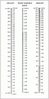 Dosage Calculationensuring Effective Therapy Nurse Key