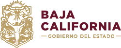 Lograr indicadores de salud a los niveles de los países de primer mundo incrementando la esperanza de vida de cada nuevoleonés, abatiendo la mortalidad asociada con la pobreza y la ignorancia. Instituto De Psiquiatria Del Estado De Baja California Instituto De Psiquiatria Del Estado De Baja California