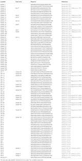 Image result for Clitoria kaessneri