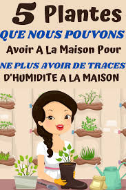 5 Plantes Qui Absorbent L Humidite De Toutes Les Pieces En 2020 Produit De Nettoyage Faits Maison Plante Trucs Et Astuces Maison