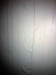 Water Sensor Inspection With Images Water Damage Water Basin