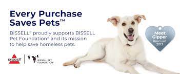 Thanks for helping save 215,000 shelter pets… and counting. Bissell Cordless Pet Hand Vacuum Green 2389 London Drugs