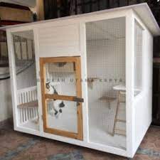 Ukuran kandang kucing ini panjang 360cm lebar 100cm tinggi 180cm. Jual Kandang Kucing Outdoor Terlengkap Terbaik Harga Murah July 2021