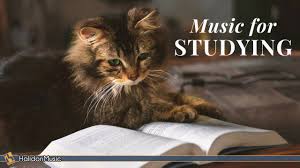 Classical Music For Studying Brain Power Mozart Vivaldi Tchaikovsky Youtube