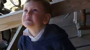 Fundraiser for Steven Fleming by Candice Martin : Saying Goodbye to Raiden