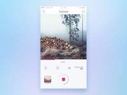 Camera Screen Camera User Interface Design Interface Design