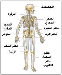 pin on موقع مدرستي