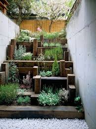 Pin By David Shaw On Home Diy Herb Garden Small Gardens Plants