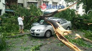 Maybe you would like to learn more about one of these? 20 Kenderaan Rosak Ditimpa Pokok