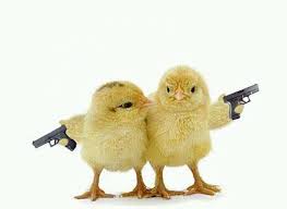 Their silliness makes us laugh, their unconditional love warms our hearts, and their purity restores our or, if you're pressed for time, you can just skip a few steps, by checking out some of the funniest photos of animals in existence below. Funny Animal Images Hd