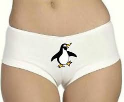 Large collection of the best gifs. Pinguin Unterwasche Jessica Alba In Good Luck Chuck Boyshorts Hoschen Ebay