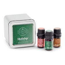 Black Forest Scentsy Christmas 2022 Scentsy Christmas Fragrance Collection 2021