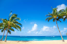 Maybe you would like to learn more about one of these? Hideaways Beach A Hidden Paradise On Kauai S North Shore