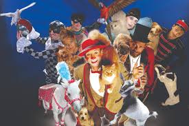 World champion juggler gregory popovich has rescued more than 30 pets from shelters and has transformed them into las vegas stars at the @vtheater. Popovich Comedy Pet Theater Match