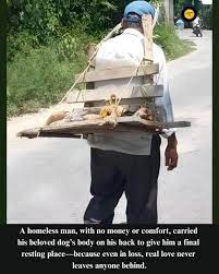 A man carries his dog's final journey on his back