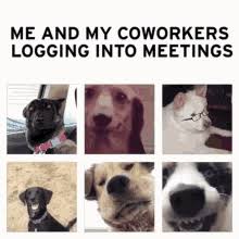 Have a meeting on zoom, skype, teams, meet, or some other videoconferencing app? Zoom Gifs Tenor