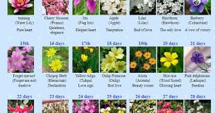 Run Bts 2020 On Twitter In 2020 Lily Of The Valley Flowers Flower Meanings Birth Flowers