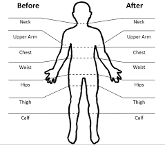 body measurements for women weight loss mozo