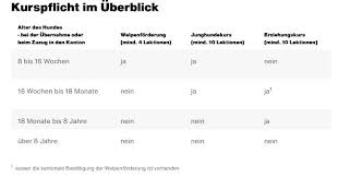 erziehungskurs happy hundetraining hundeernahrungsberatung