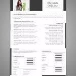 Pin By Marijke Balsma On Bureau Cv Words Words Powerpoint Templates