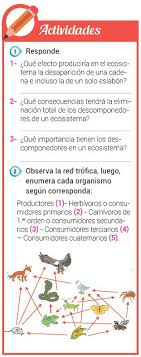 Una red trófica está formada por el entrelazamiento de múltiples cadenas alimentarias (secuencia lineal que va desde. Estudio De Redes Y Cadenas Troficas Escolar Abc Color