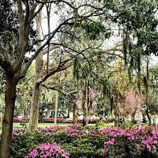 The Azaleas Are Blooming Visit Savannah Savannah Chat Places To Go