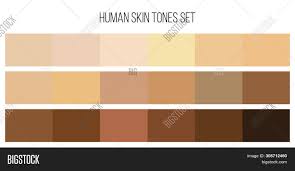 People with this skin tone also has slight brown hues in their complexion. Creative Illustration Image Photo Free Trial Bigstock