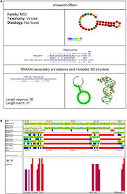 Frontiers | A Comprehensive Analysis Of Cis-Acting RNA Elements In The  SARS-CoV-2 Genome By A Bioinformatics Approach | Genetics