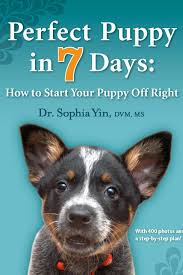 Crate games for motivation and control (dvd). The 9 Best Books For New Dog Owners The Strategist
