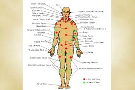 These 20 Life Saving Tips Could Come In Handy During An Attack Plexus Products Median Nerve Saving Lives