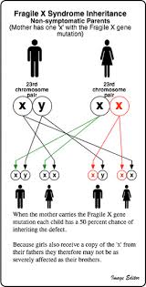 fragile x syndrome raising awareness raising hope