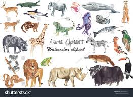 Watercolor Animal Illustration Animal For Every Letter Of English Alphabet Watercolor Hand Drawn And Hand P In 2020 Animal Clipart Animal Alphabet Watercolor Animals